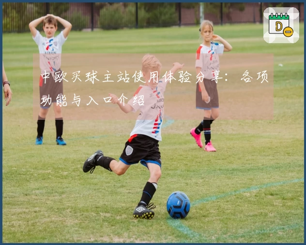 中欧买球主站使用体验分享：各项功能与入口介绍