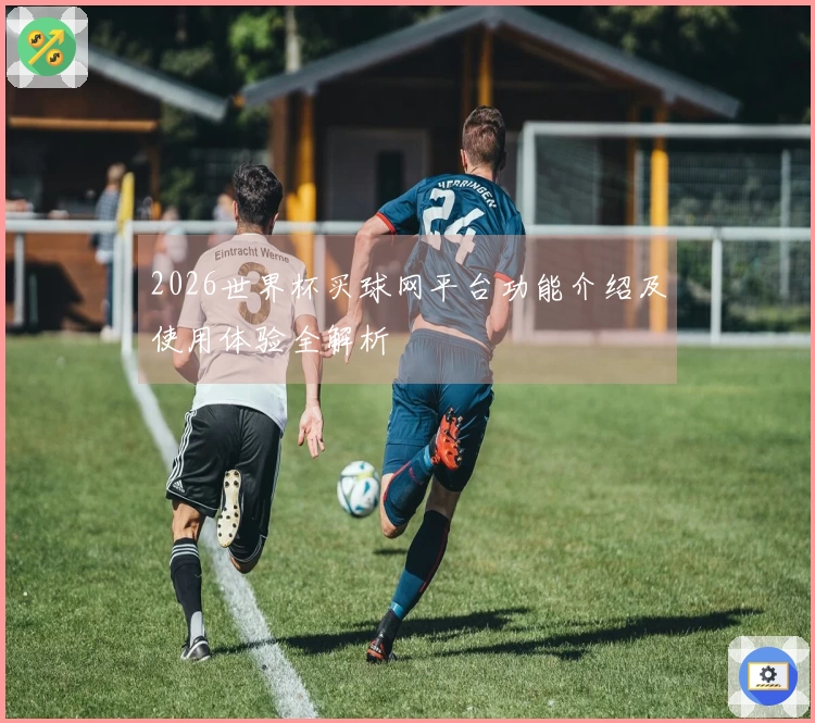 2026世界杯买球网平台功能介绍及使用体验全解析